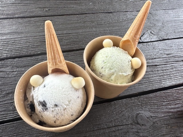 放デイ バタバタな1日の画像