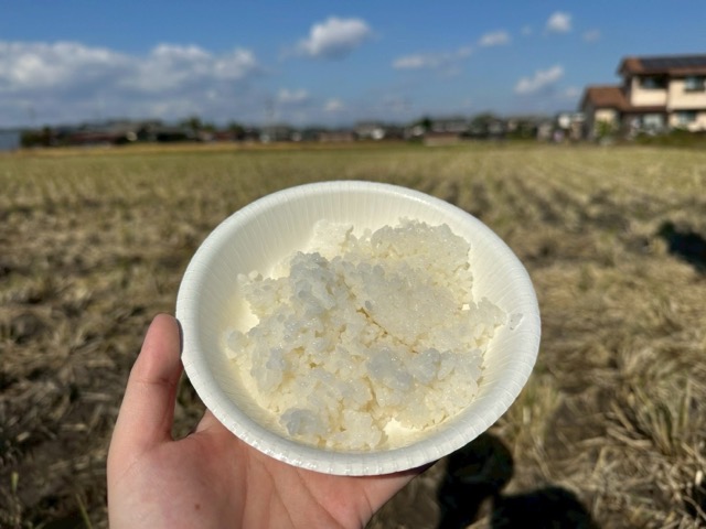 放 稲刈り体験の画像